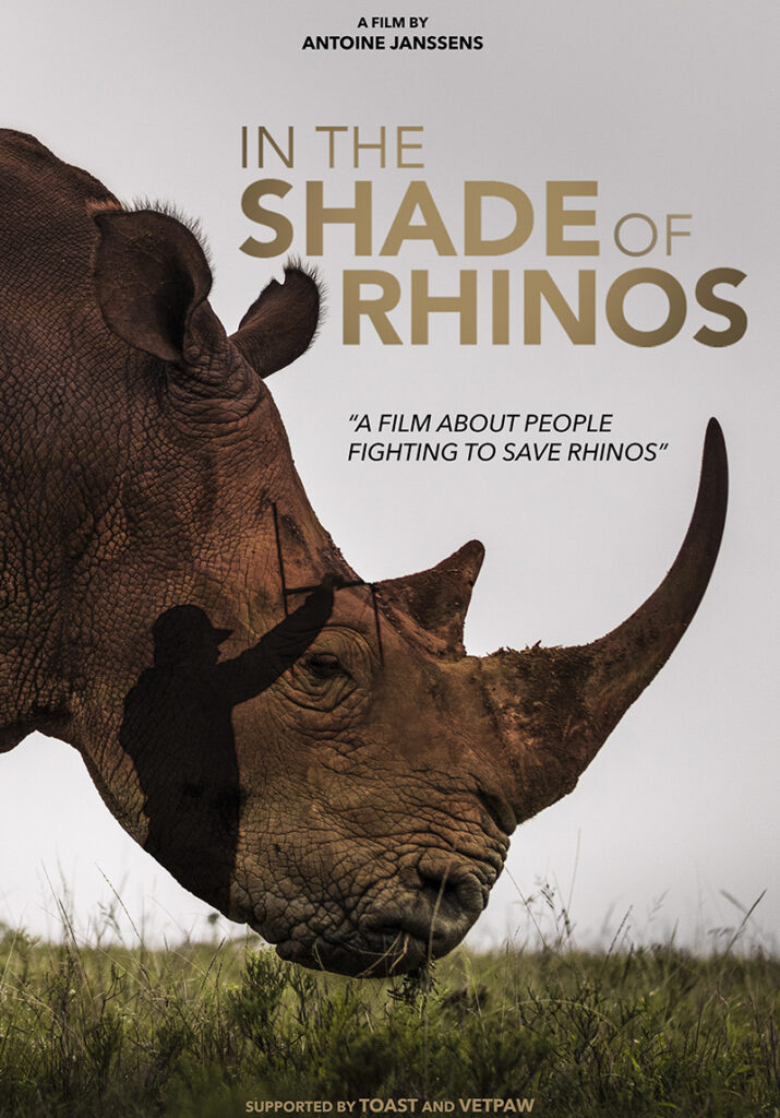 in the shade of rhinos