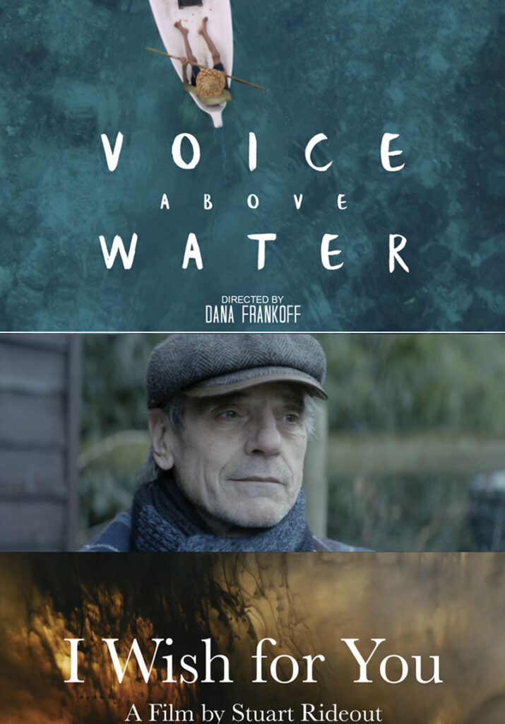 poster for VOICE ABOVE WATER & I WISH FOR YOU

